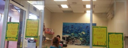 Duranti – Surgelati