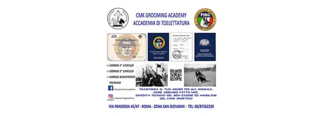 CMK Groom Academy