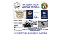 CMK Groom Academy